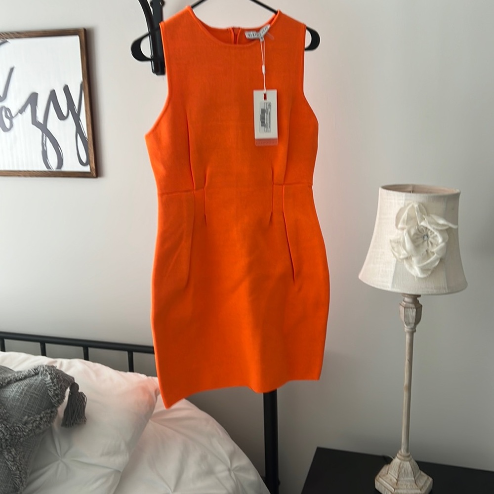 Never worn endless roses dress